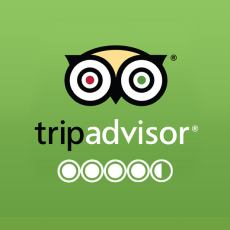 Trip-Advisor-logo2